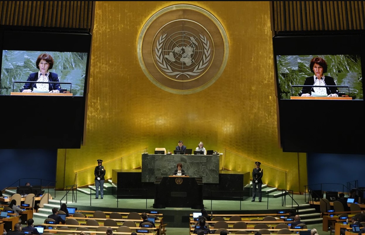 Temas ONU